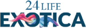 24 Life Exotica Dudulgaon, Moshi Logo Image